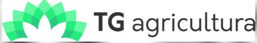 TG